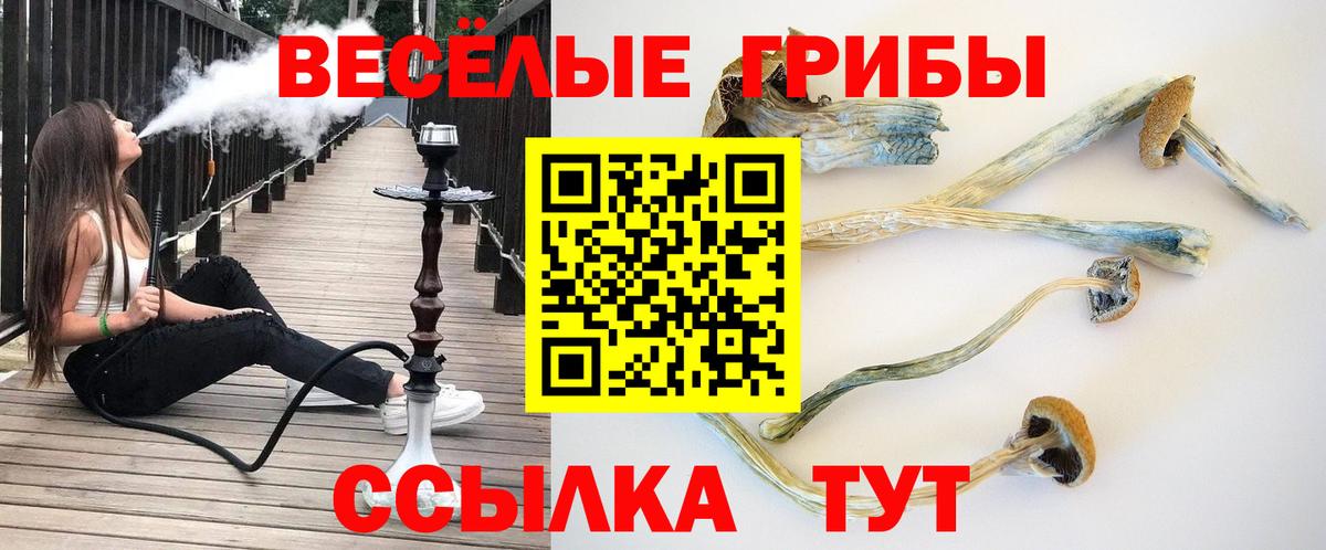 Псилоцибиновые грибы ЛСД Белогорск